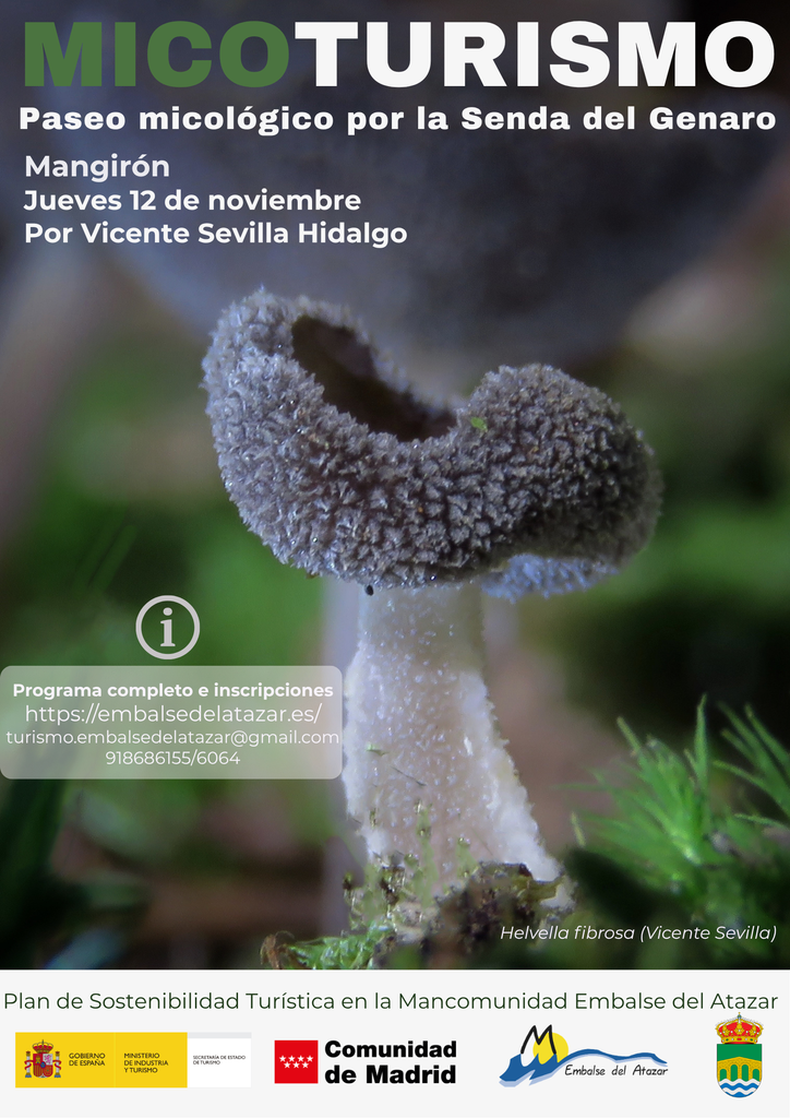 Cartel de la Jornada de Micoturismo en Mangirón, 12 de noviembre 2026